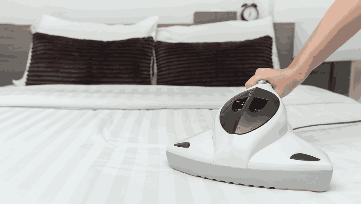 Professional Mattress Cleaning Abbotsford